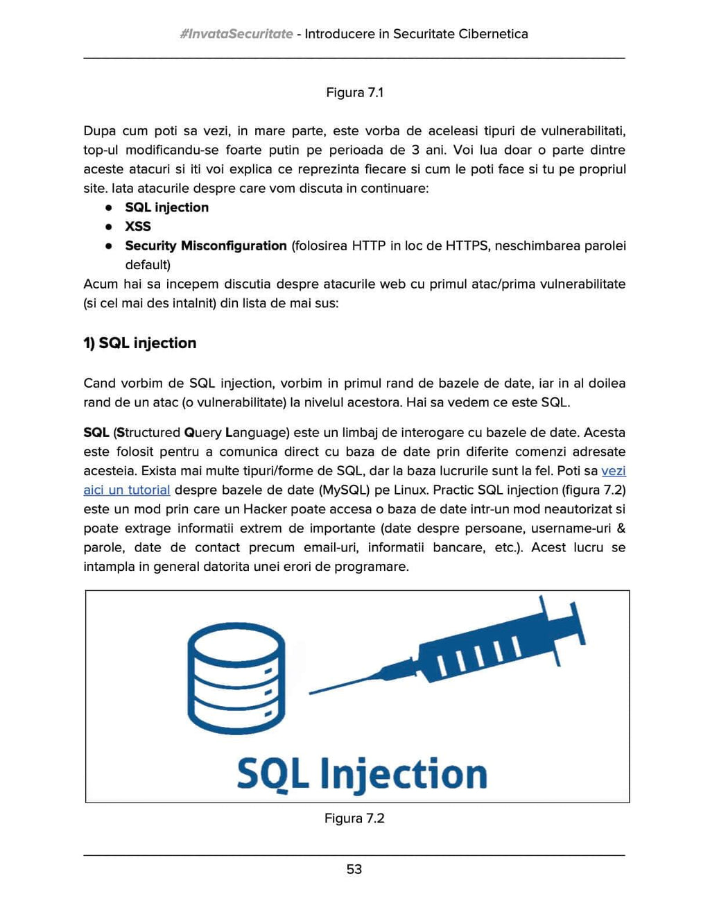 [Precomandă] Cartea de Securitate Cibernetică by Ramon Năstase