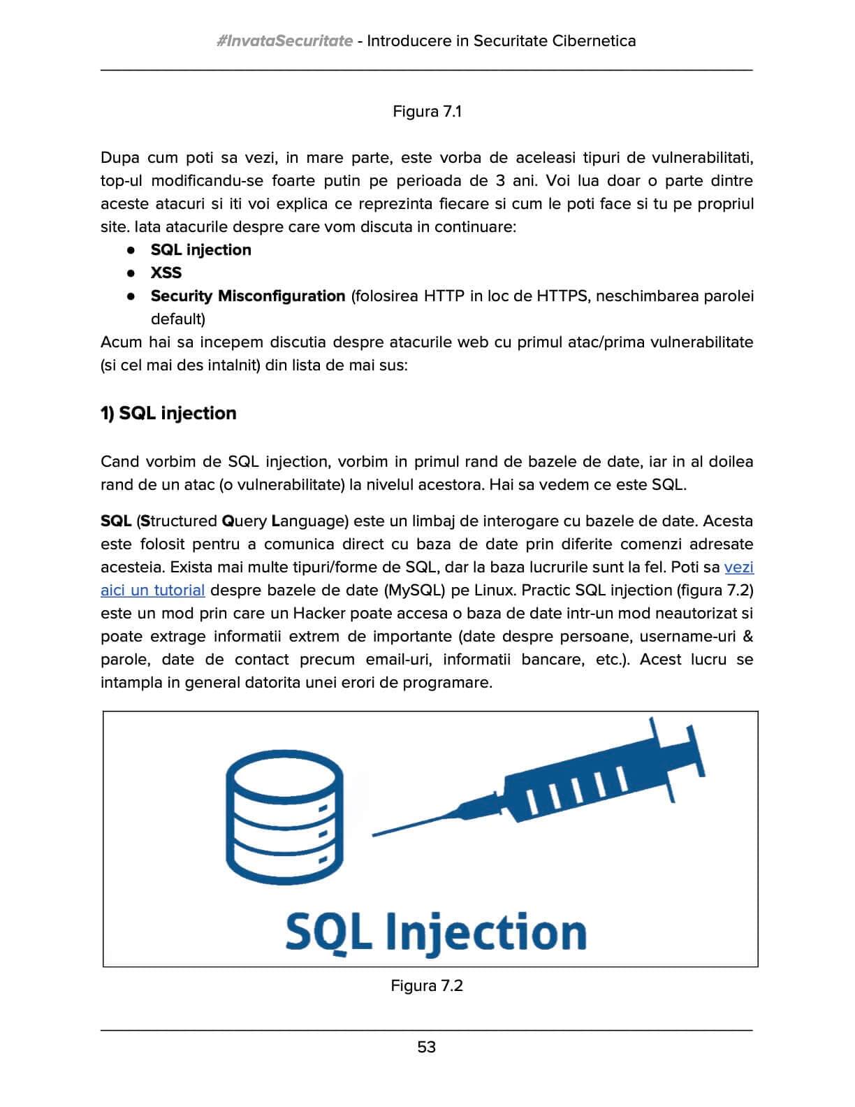 [Precomandă] Cartea de Securitate Cibernetică by Ramon Năstase