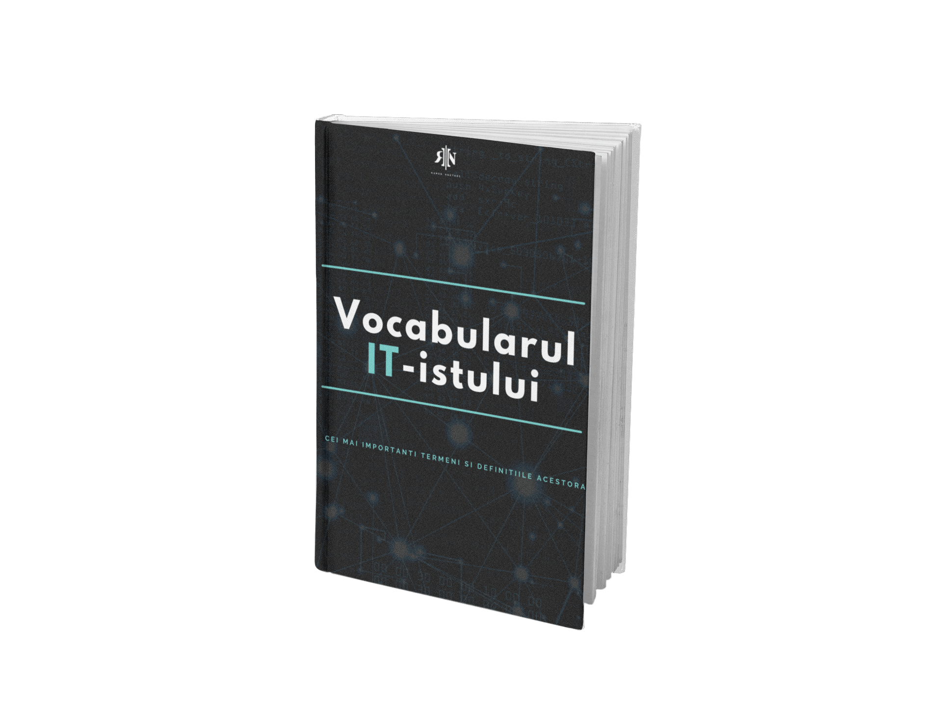 Vocabularul IT-istului (format PDF)