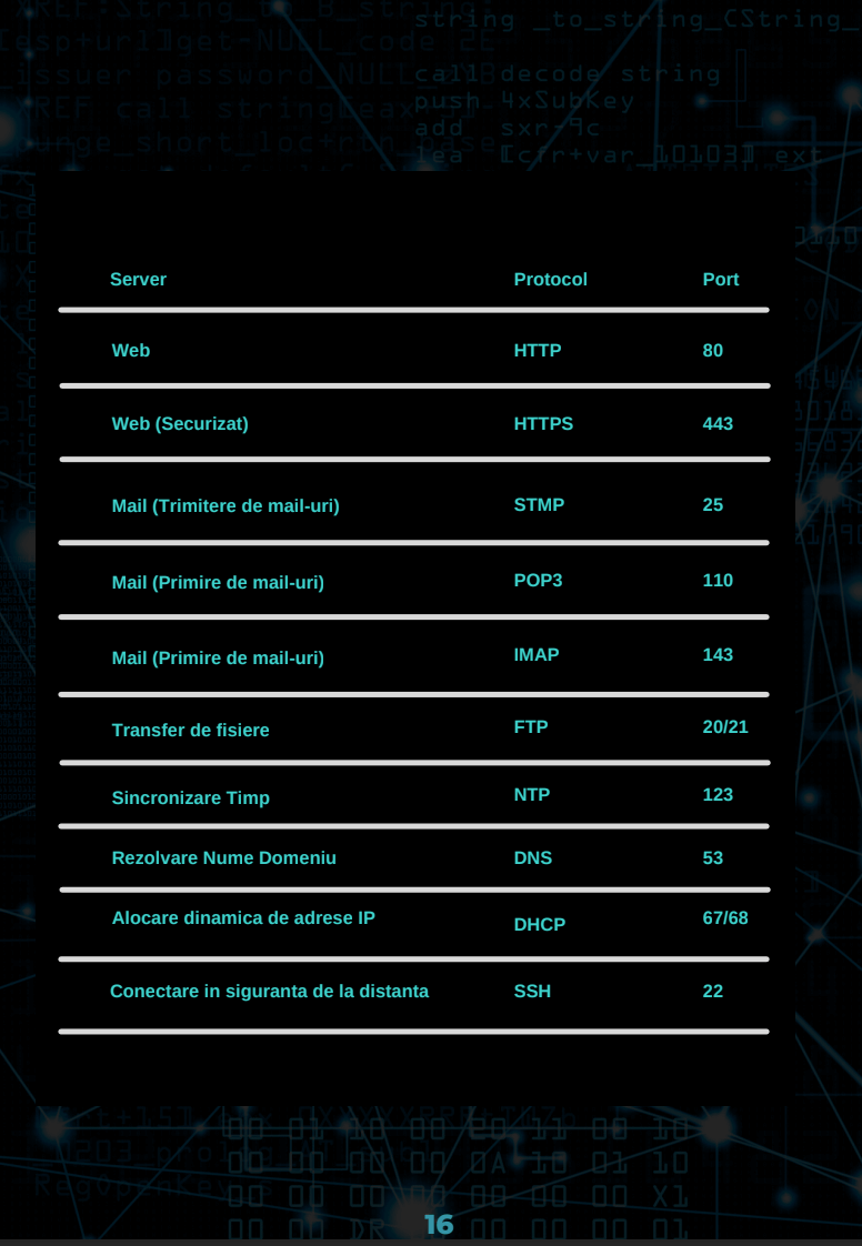 Vocabularul IT-istului (format PDF)